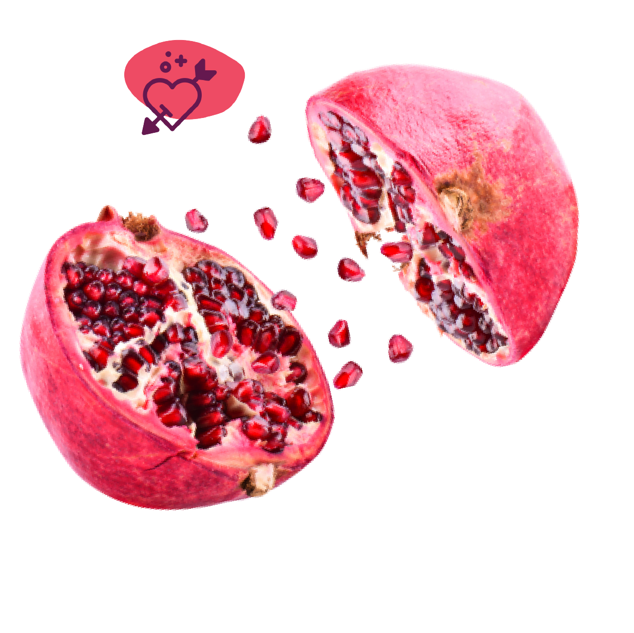Exploding Pomegranate