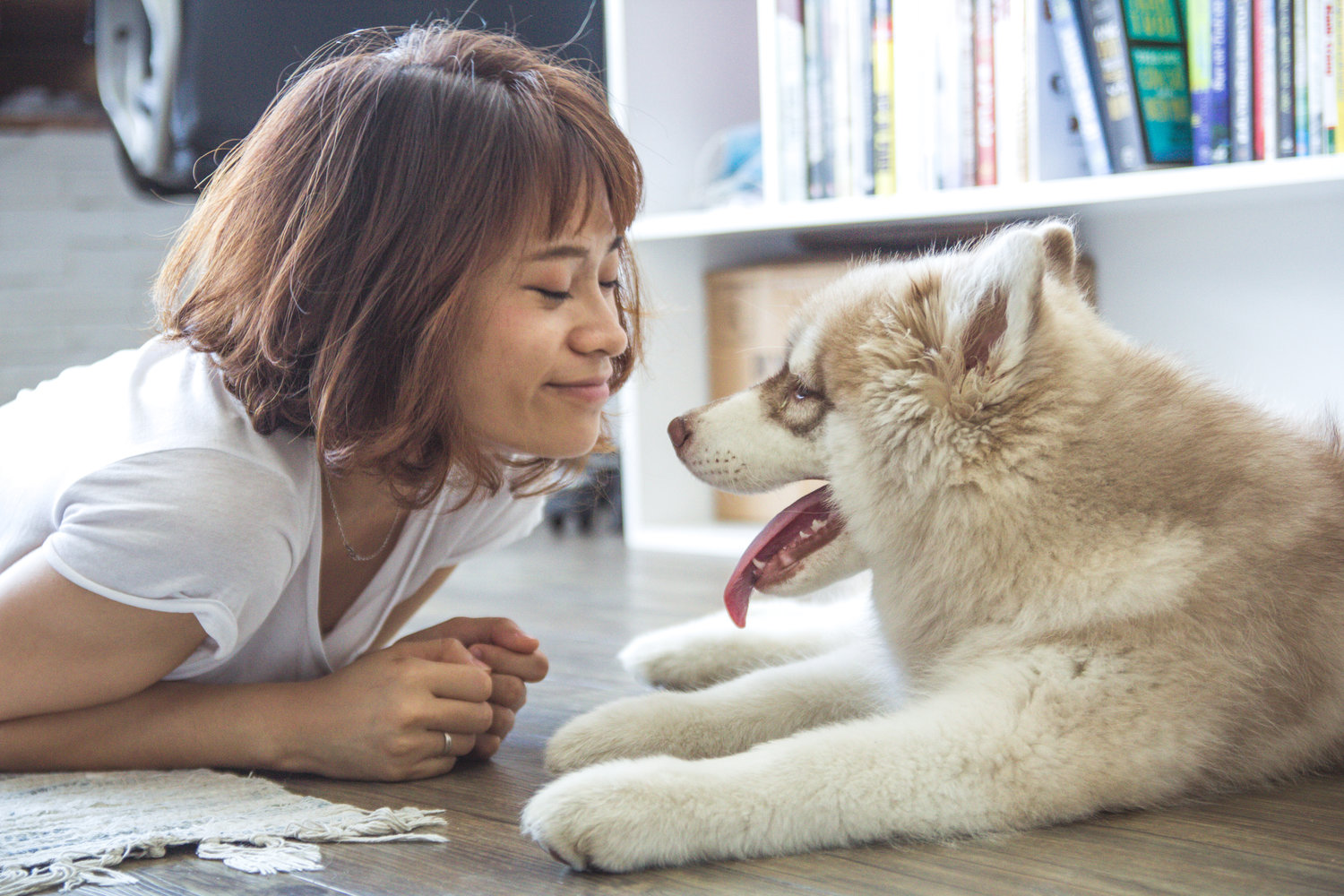 4 Ways Your Dog Benefits From Socialization