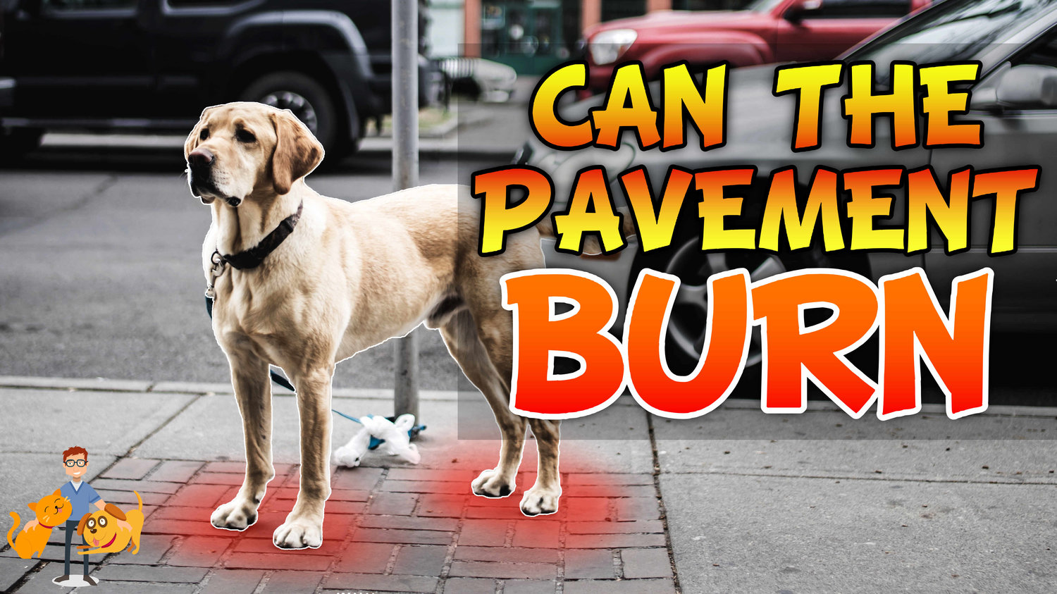 4 Strategies for How to Protect Dog Paws From Hot Pavement — Our Pet's  Health