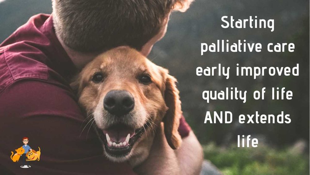  Starting palliative care early improves dog and cat quality of life AND extends their life 