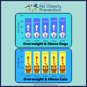 2012-2016 pet obesity.png