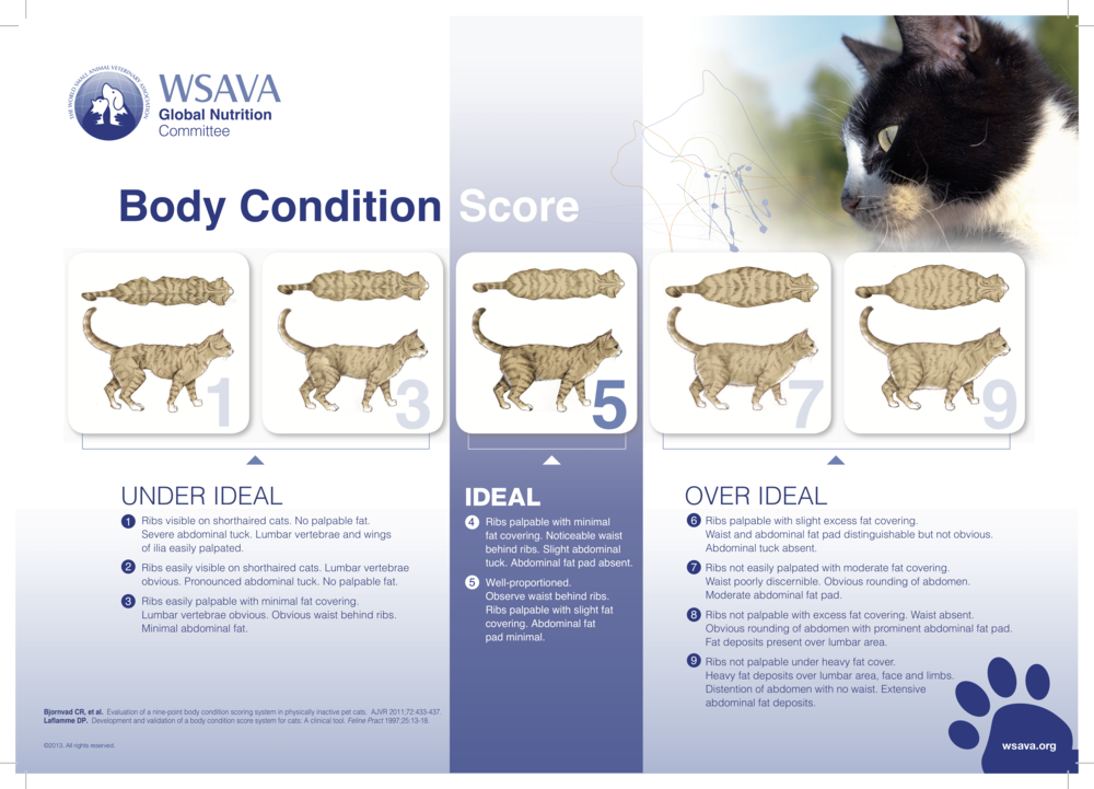 Pet Weight Check — Association for Pet Obesity Prevention