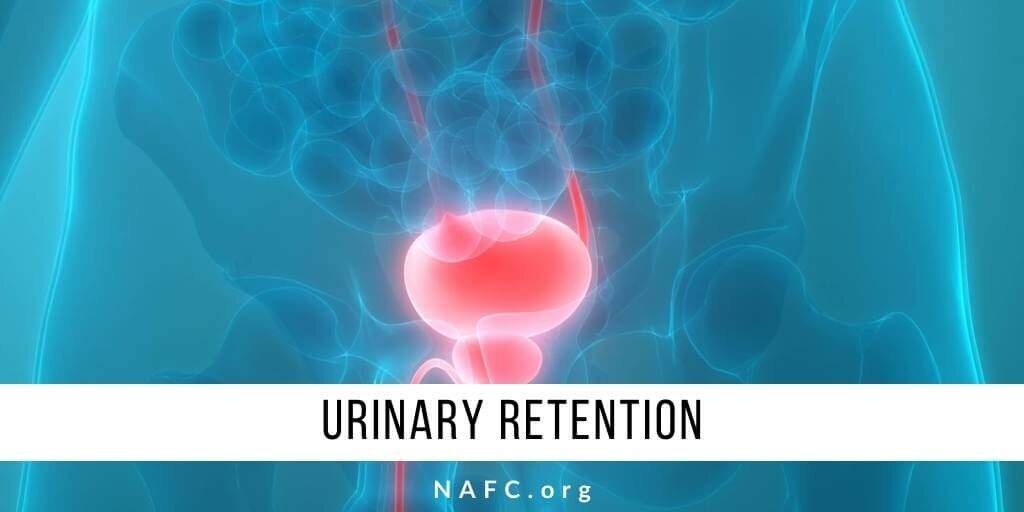 first aid for acute urinary retention)