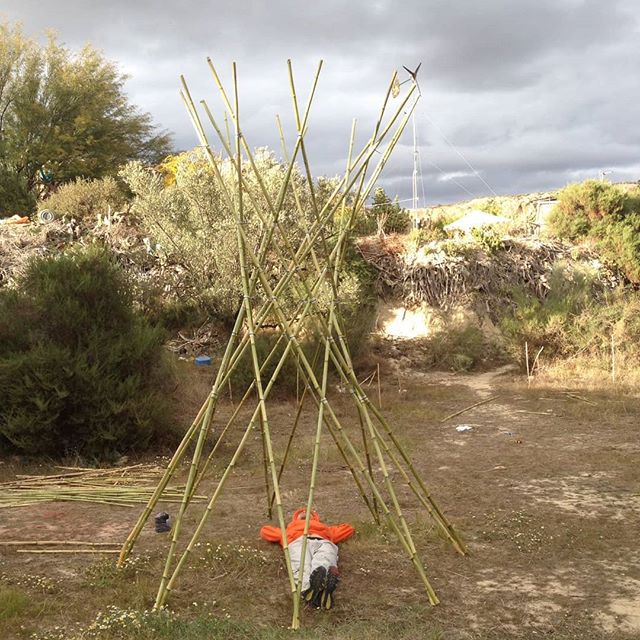 1/4 cane hiperboloid structure for the Water Festival in @sunseed.desert.technology . Wolfgang taking a nap. #festivaldelagua #rioaguas #endefensadelrioaguas #grasshopper #canestructure #28April #ecoconstruction
