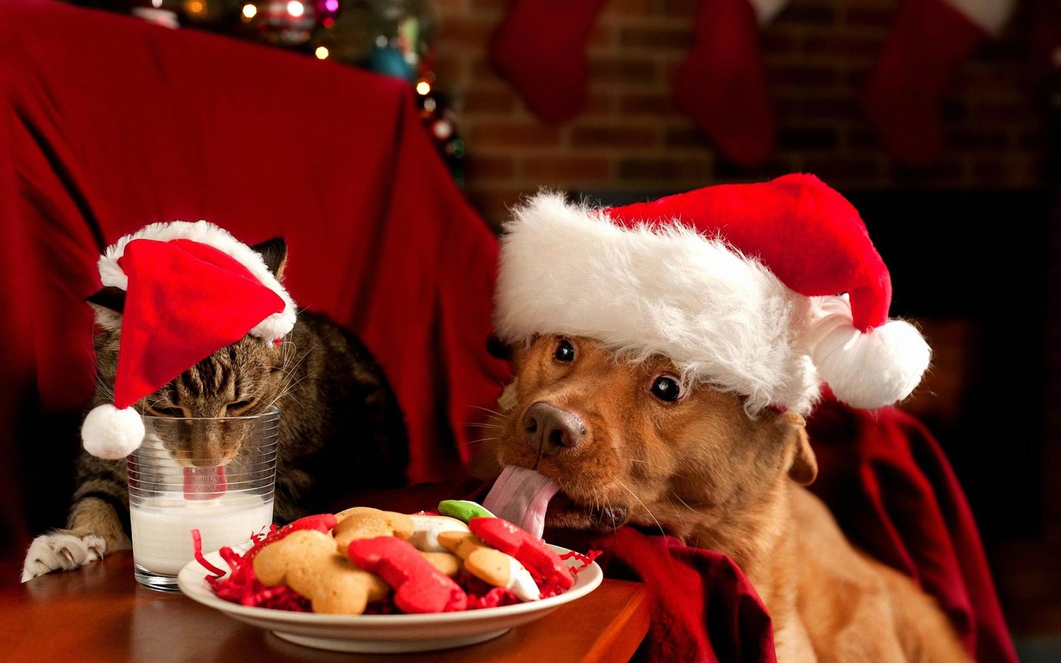 Productos Para Mascotas De Navidad Casa De Cachorros Para L 