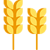 wheat stems and wheat germ