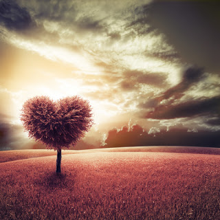 Heart-shaped tree in field