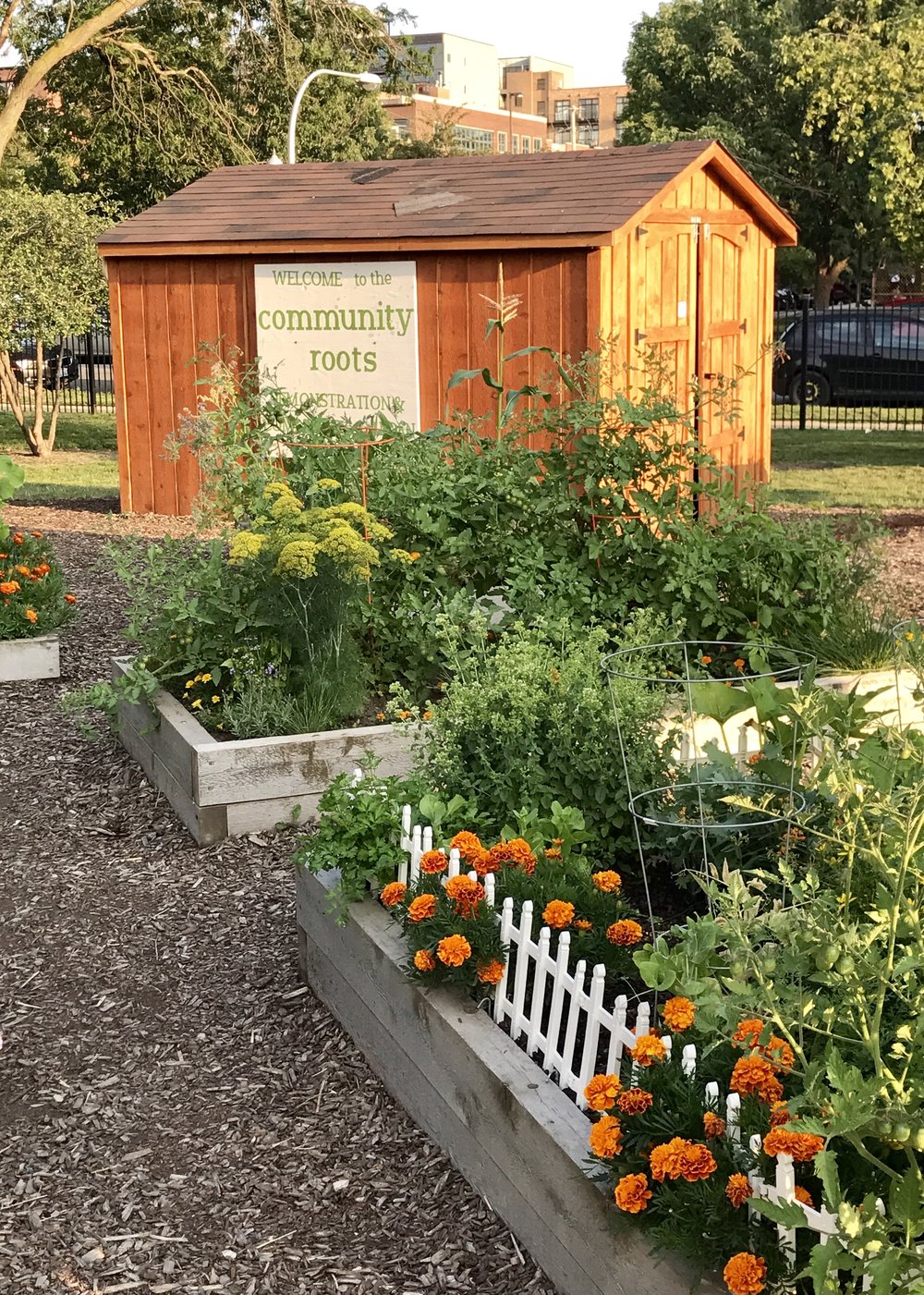 Community Gardens Seeing Green Chicago Parks Foundation