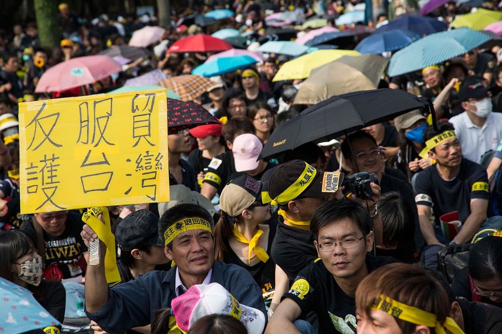 A protester holds up a sign as over two hundred thousand people rally opposing the contentious cross-strait service trade agreement with China in Taipei, Taiwan, on March 30, 2014. (Lam Yik Fei/Getty Images)