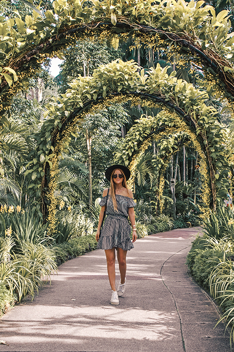 Lion in the Wild, Kiara King, Singapore outfit, summer style, Singapore Botanic Gardens, National Orchid Garden