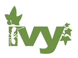 Apache Ivy Logo