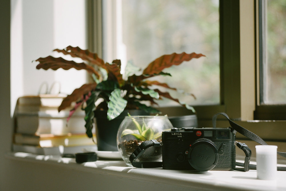 Leica m6 for sale