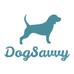 Dog & Puppy Training Los Angeles | Positive Training by Dog Savvy