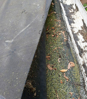 Wood-Rotting-Guaranteed-Gutters-Chicago.jpg