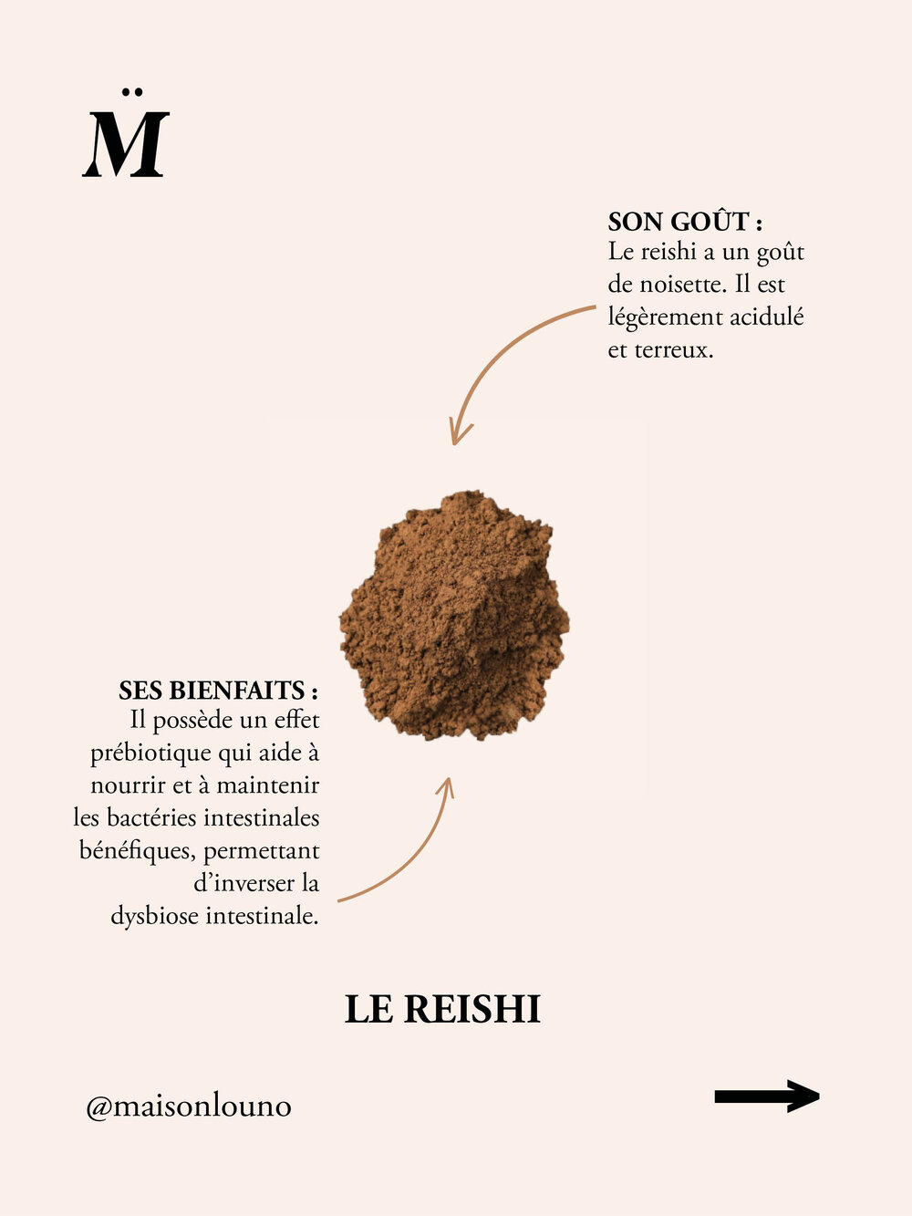 le Reishi microbiote