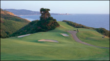 torrey-pines-golf.jpg