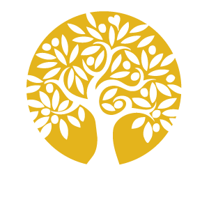 Yoga Roots Vermont