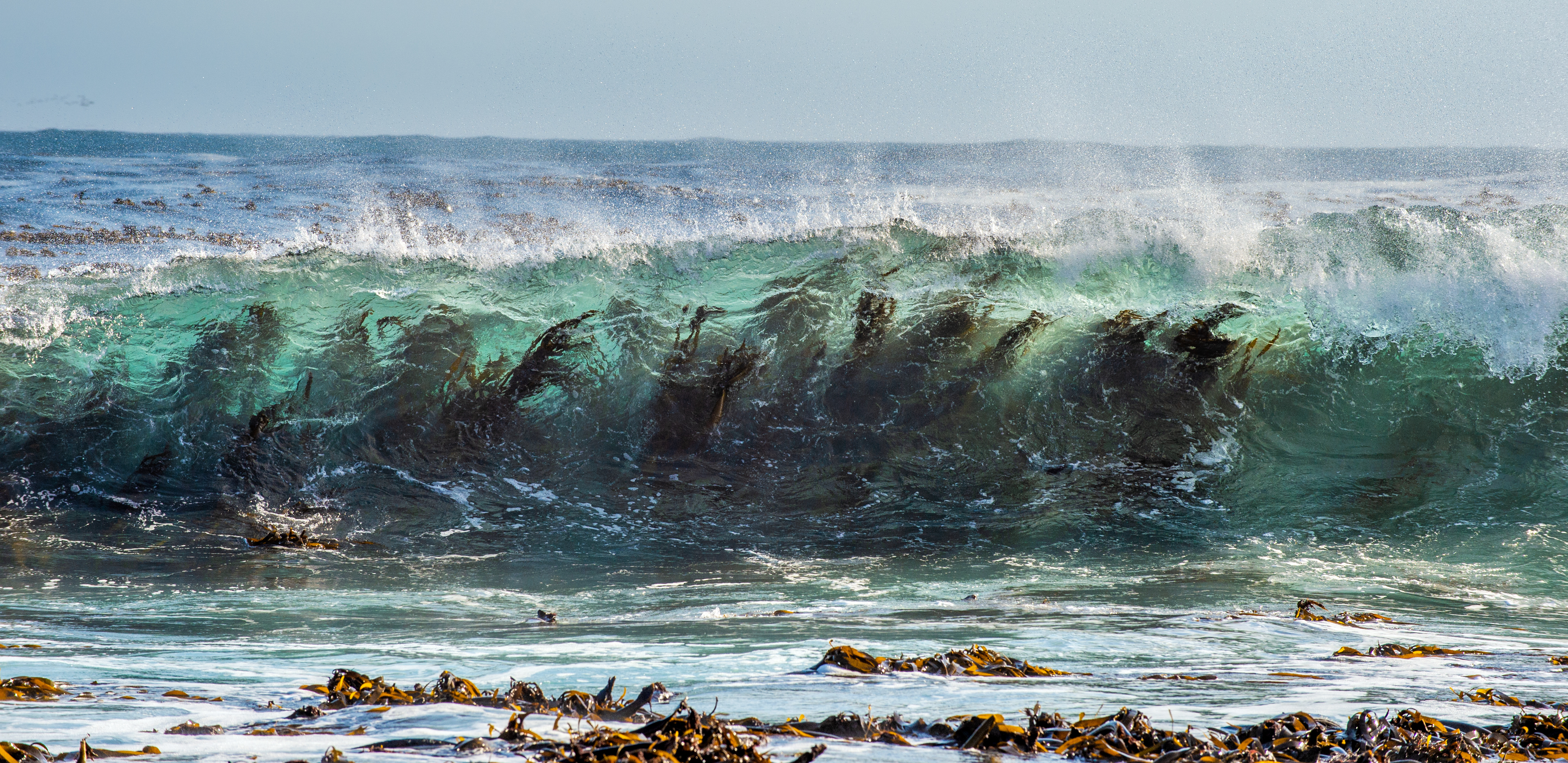 High-energy underwater scene illustrating wave action or turbulence near the reef