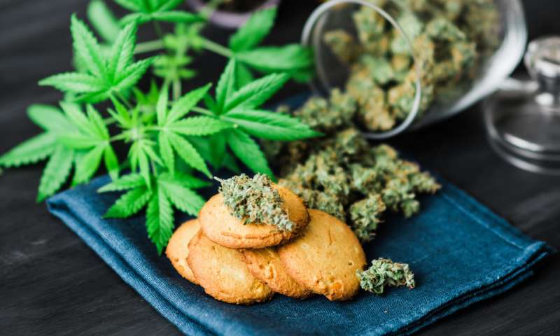 Pot in Pans: A History of Eating Cannabis provides an encyclopedic ...