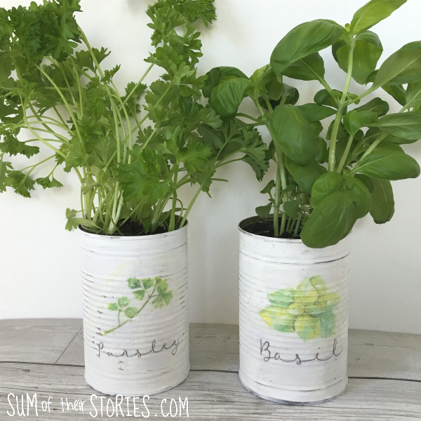 Upcycled can herb planters 