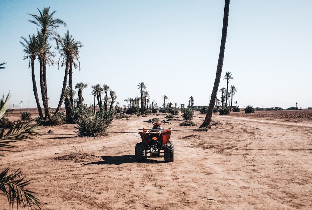 Quad Bike in Rock desert Palm Grove Marrakech Morocco
