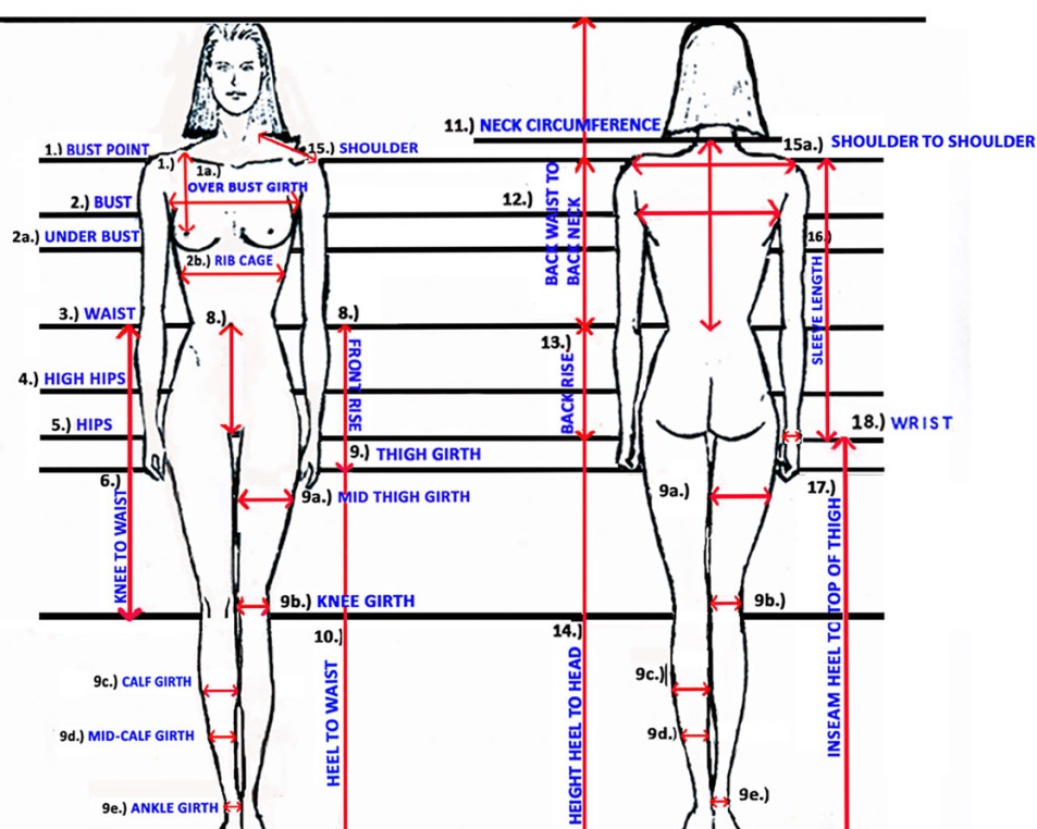 body+measureing.jpg