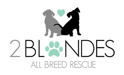 all breed puppy rescue