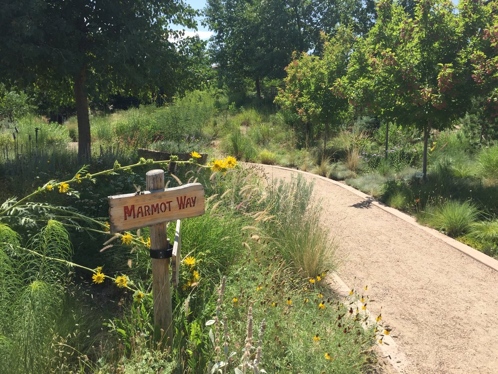    Denver Botanical Gardens: Mordecai Children's Garden   