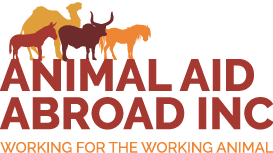 Animal Aid Abroad