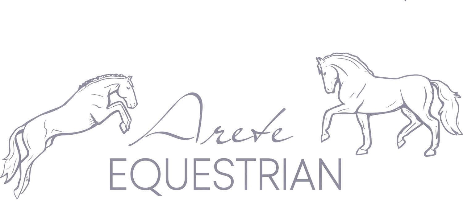 Riding Lessons And Training Arete Equestrian