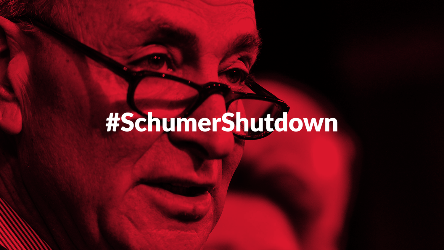Image result for Schumer Shut Down