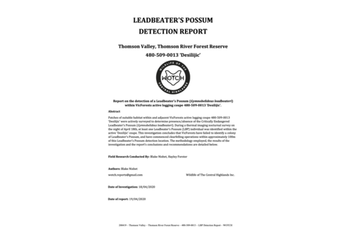 Leadbeater's Possum Detection Report – 480-509-0013 'Desilijic'