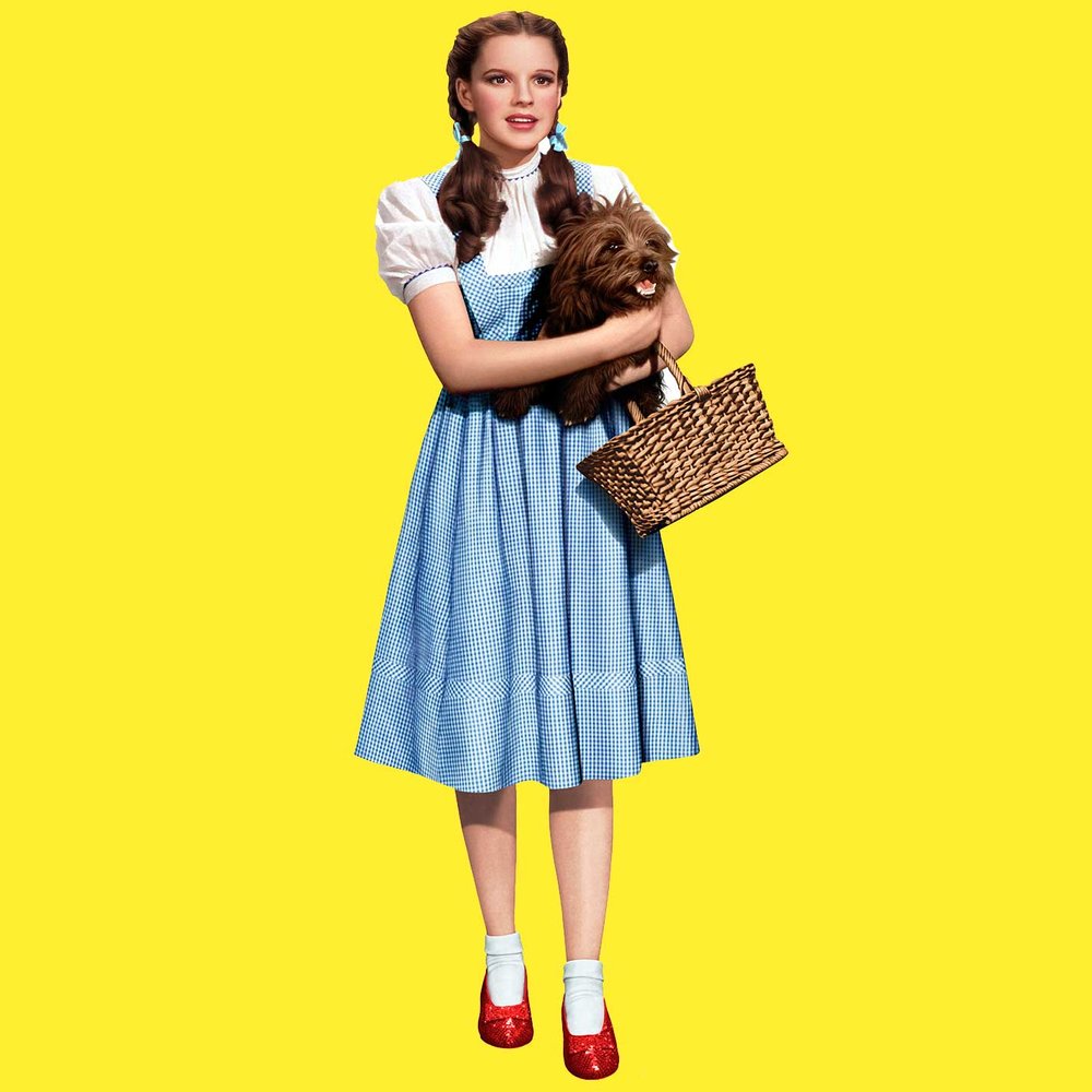 Dorothy - Wizard of Oz Minecraft Skin