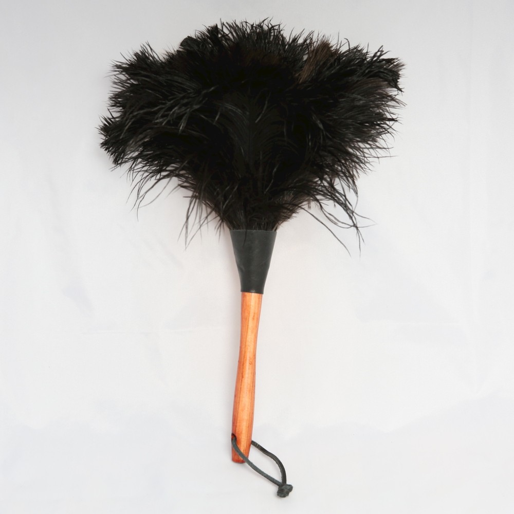 Ostrich Feather Dusters – Ruffling a Few Feathers! — Plain Useful