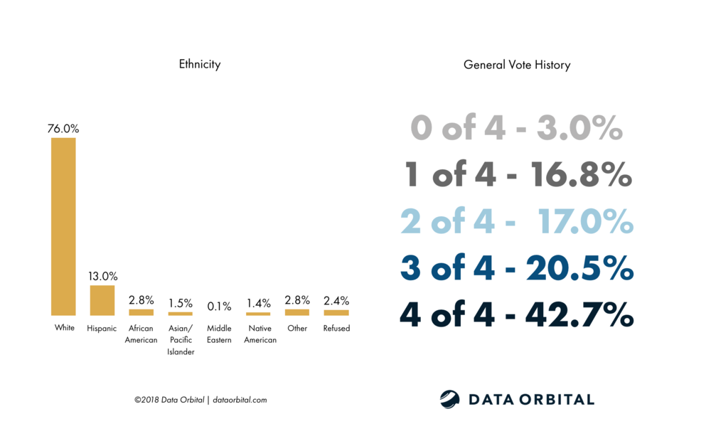 Data Orbital AZ Statewide Poll Demographics - Ethnicity and General Vote History