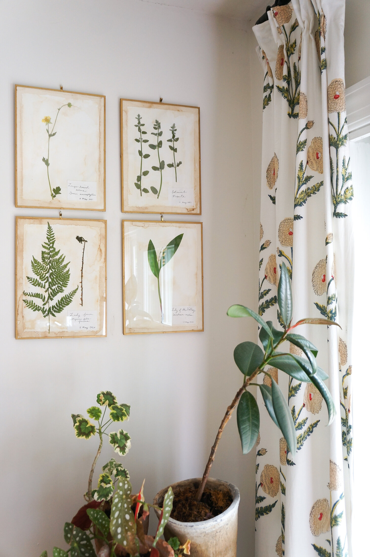DIY Herbariums — Adored House