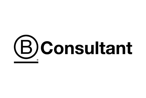 B Consulting logo