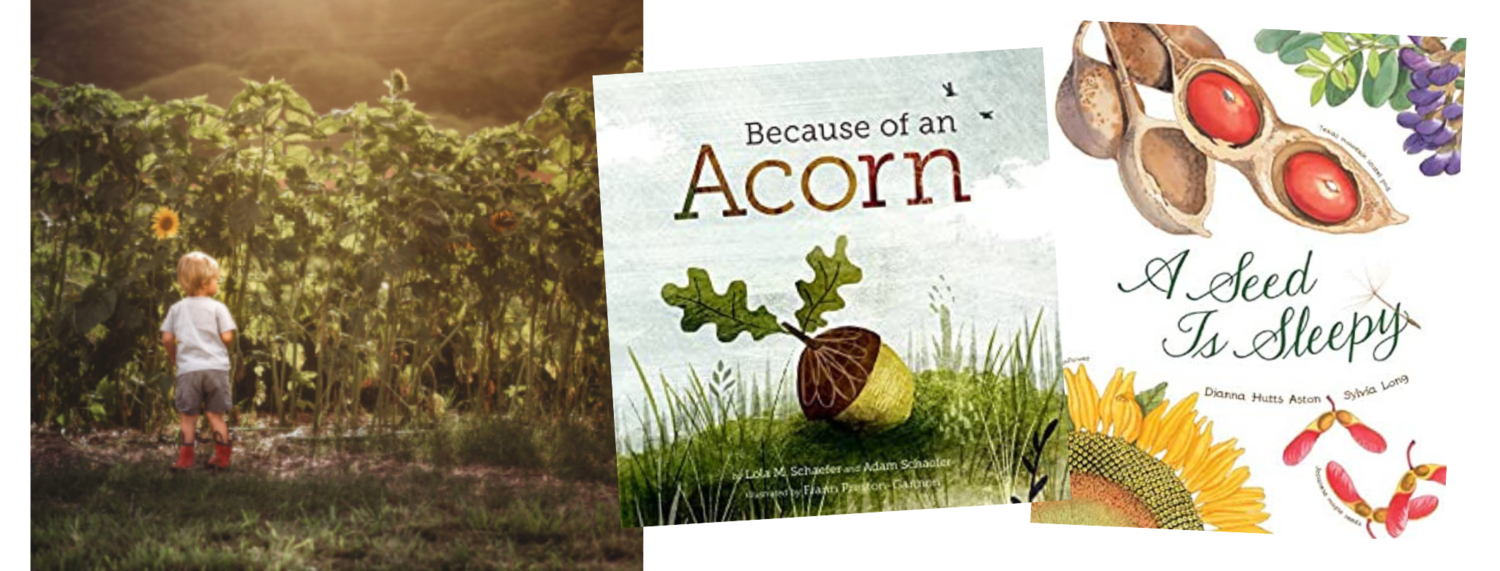 photo courtesy of keikiandplow.com,  Because of an Acorn  written by Lola M. Schaefer &amp; Adam Schaefer, illustrated by Frann Preston-Gannon (Chronicle Books, 2016),  A Seed is Sleepy  written by Dianna Hutts Aston, illustrated by Sylvia Long (Chronicle Books, 2014)