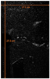 Example Field of View from Particle Image Velocimetry