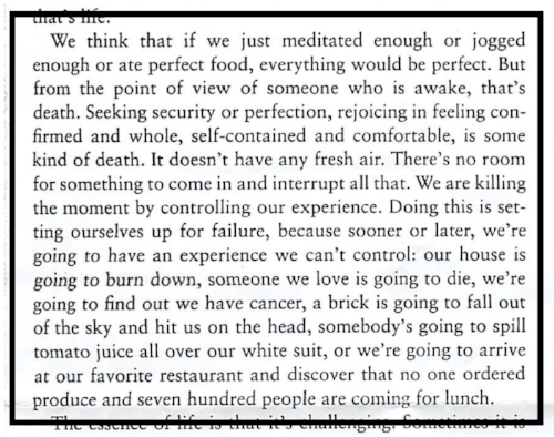 From   When Things Fall Apart   by Pema Chodron
