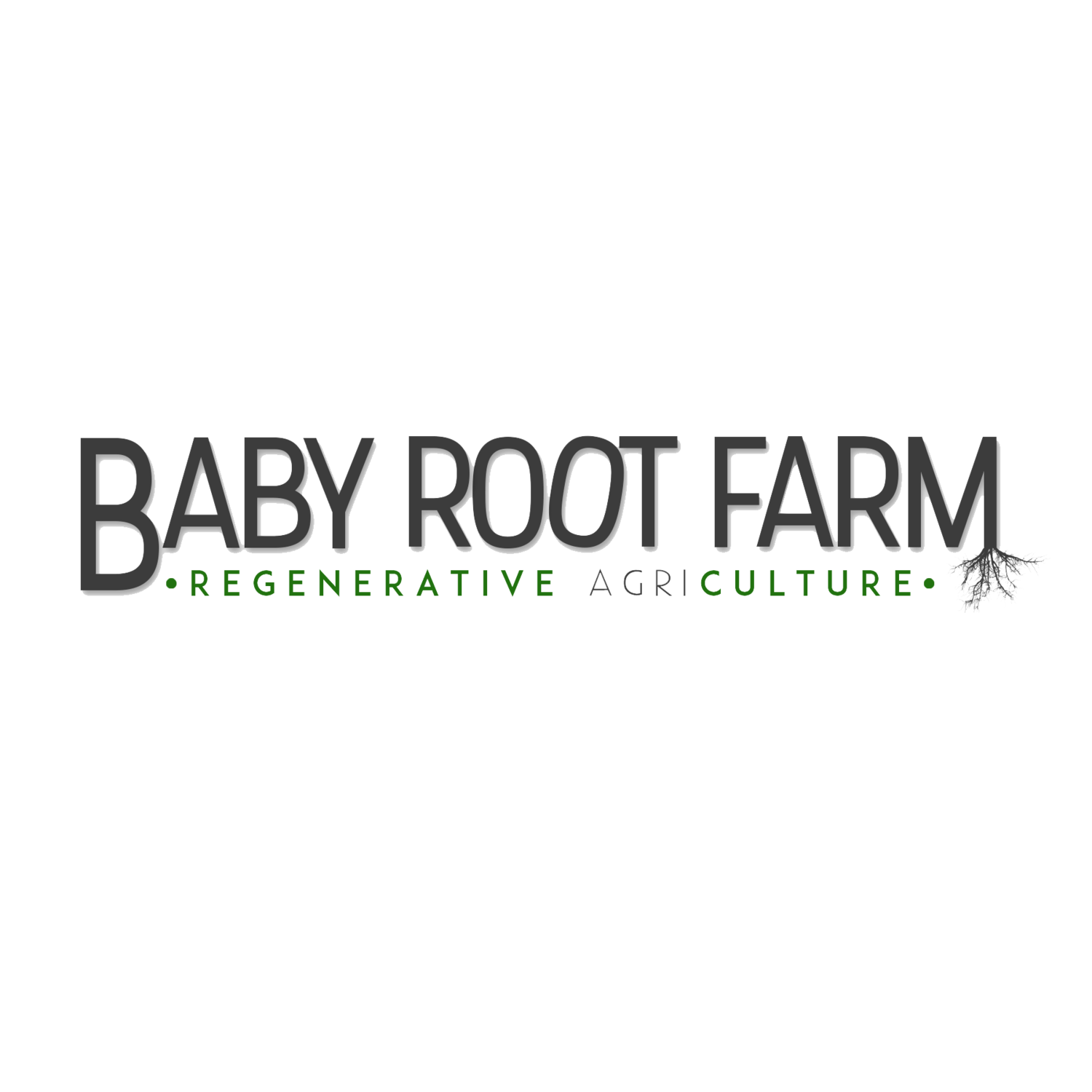 Baby Root Farm