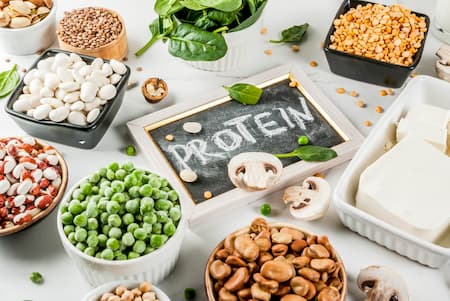 7 Plant Based Proteins To Put On Your Plate