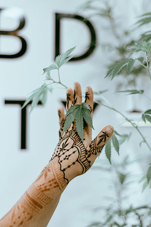 BeautyCon guest shows off cannabis inspired henna as they reach out entangling fingers in hemp plants.