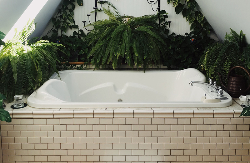 Green house plants surround white tub with sun beam shooting in on left side of image.