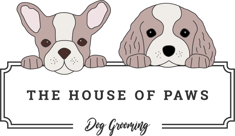 house of paws