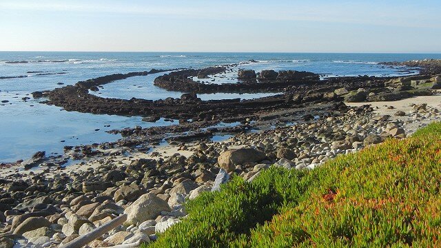 Exploring Tide Pools in San Mateo County ? Good2Know Network