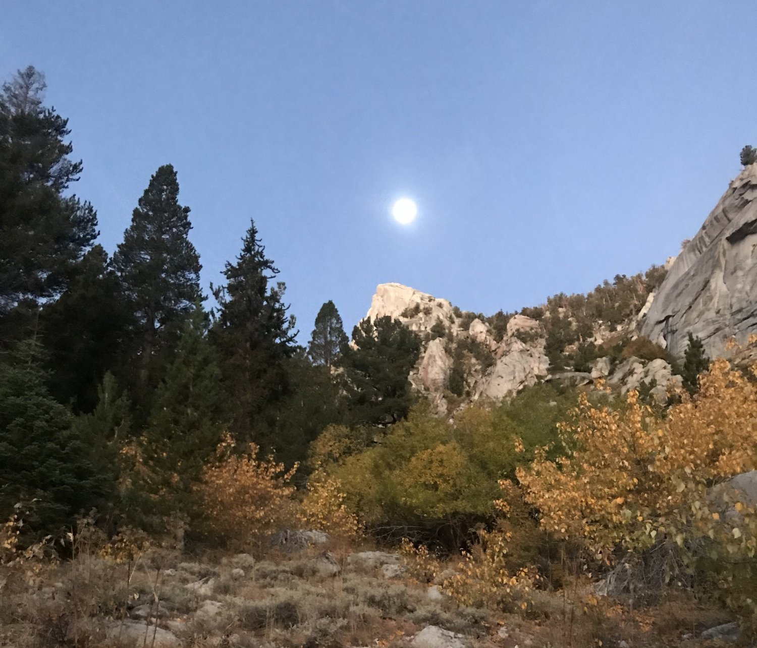 Morning Moon - Sierra Nevada.
