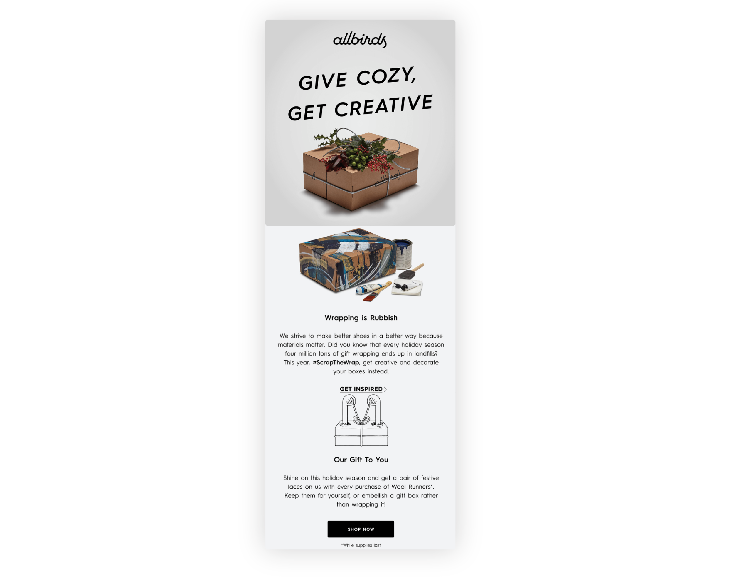 AllBirds email saying 'give cosy, get creative' on a grey background with a 'shop now' CTA.