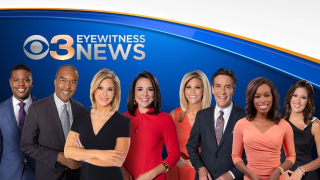 Check Out A Knit Sheep On CBS 3 Eyewitness News — A Knit Sheep