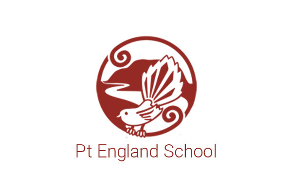 Sponsorship of Point England School — Bright Foundation